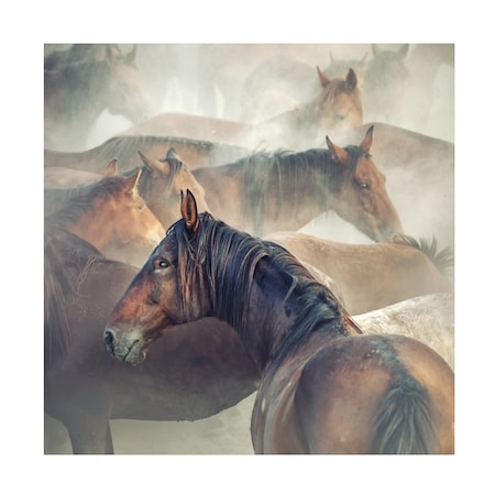 Huseyin Task?n 'Tired Horses' Canvas Art,18x18